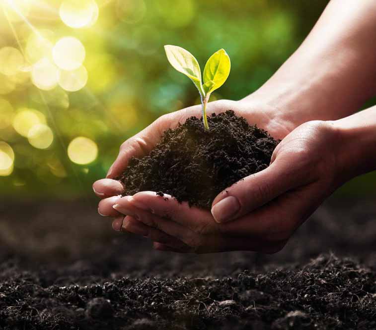 About SPT Environmental